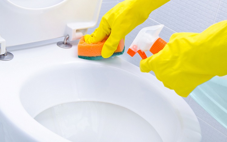 How to get rid of Ring in Toilet Bowl