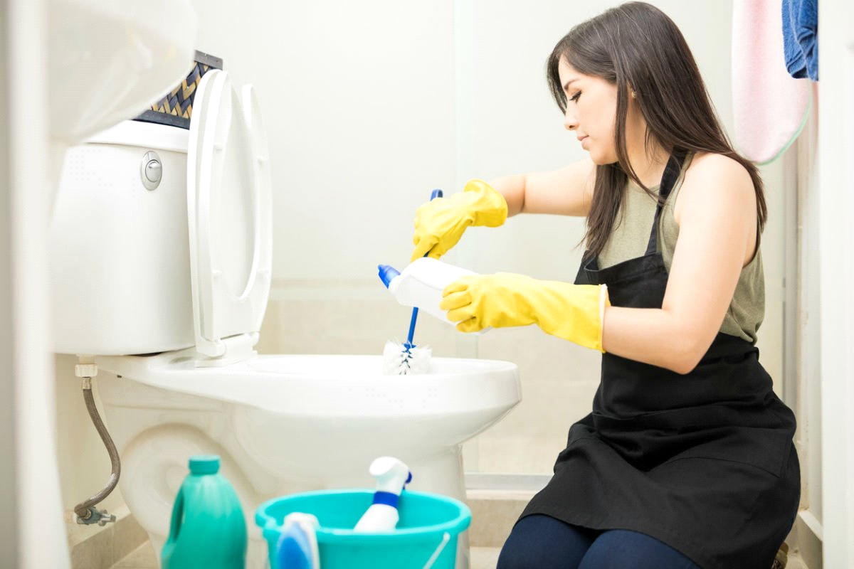 7 Best Toilet Bowl Cleaner for Hard Water in 2024