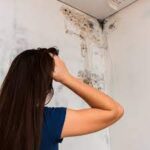 How to get rid of Mold in Bathroom Ceiling