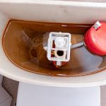 How Much Vinegar Do You Put In Your Toilet Tank To Clean It