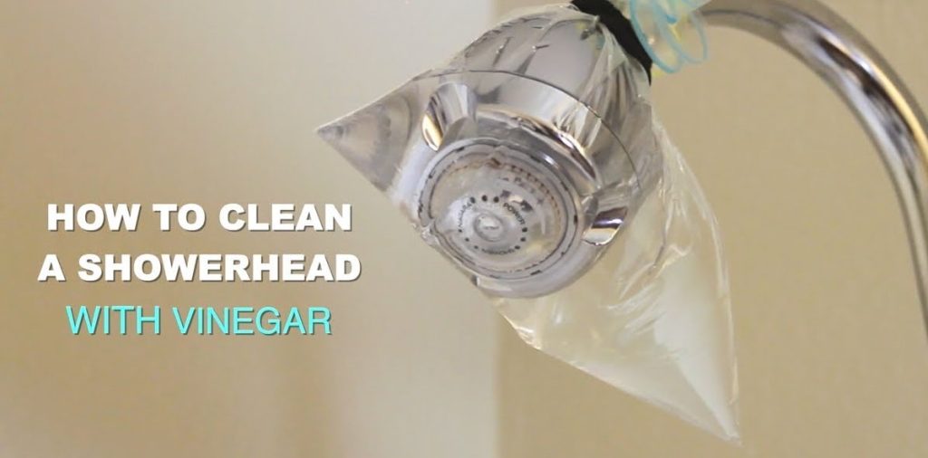How to clean the shower head with vinegar