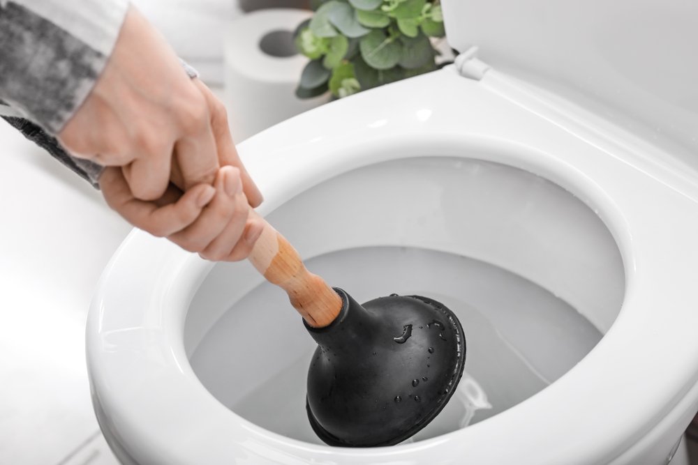 How to Unblock a Badly Blocked Toilet in UK