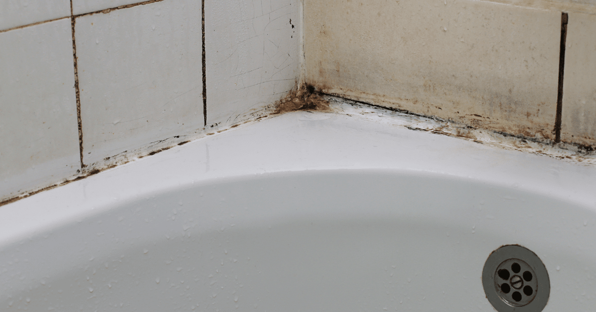 How to Get Rid of Black Mold in Shower