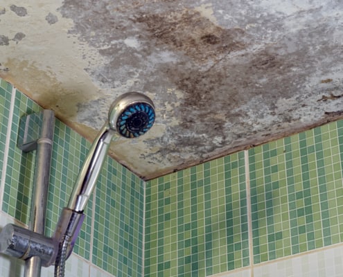 How to Remove Mold From Bathroom Ceiling