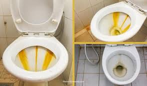 How to Remove Hard Water Stains From Toilet