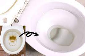 How to Get the Stains Out of a Toilet Bowl