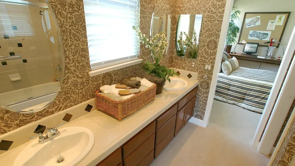 Designing a Jack and Jill Bathroom: Balancing Privacy and Accessibility